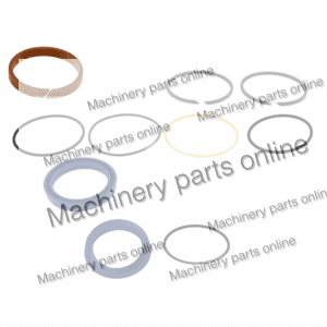 Seal NIFTYLIFT P17053