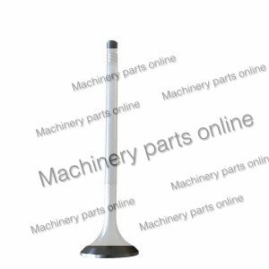 Inlet Valve Liebherr 10136752