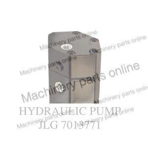 JLG7013771